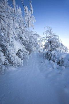 �bersetzungen im Bereich Tourismus und Reisen (Texte oder Dokumente)